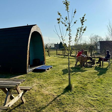 Skipbridge farm glamping York Eksteriør billede