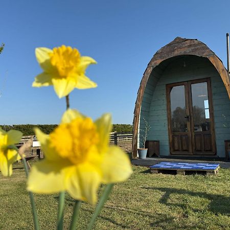 Skipbridge farm glamping York Eksteriør billede