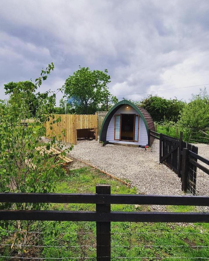 Skipbridge farm glamping York Eksteriør billede