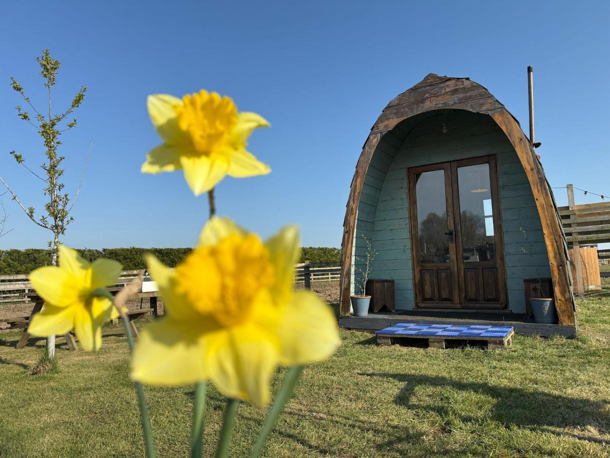 Skipbridge farm glamping York Eksteriør billede